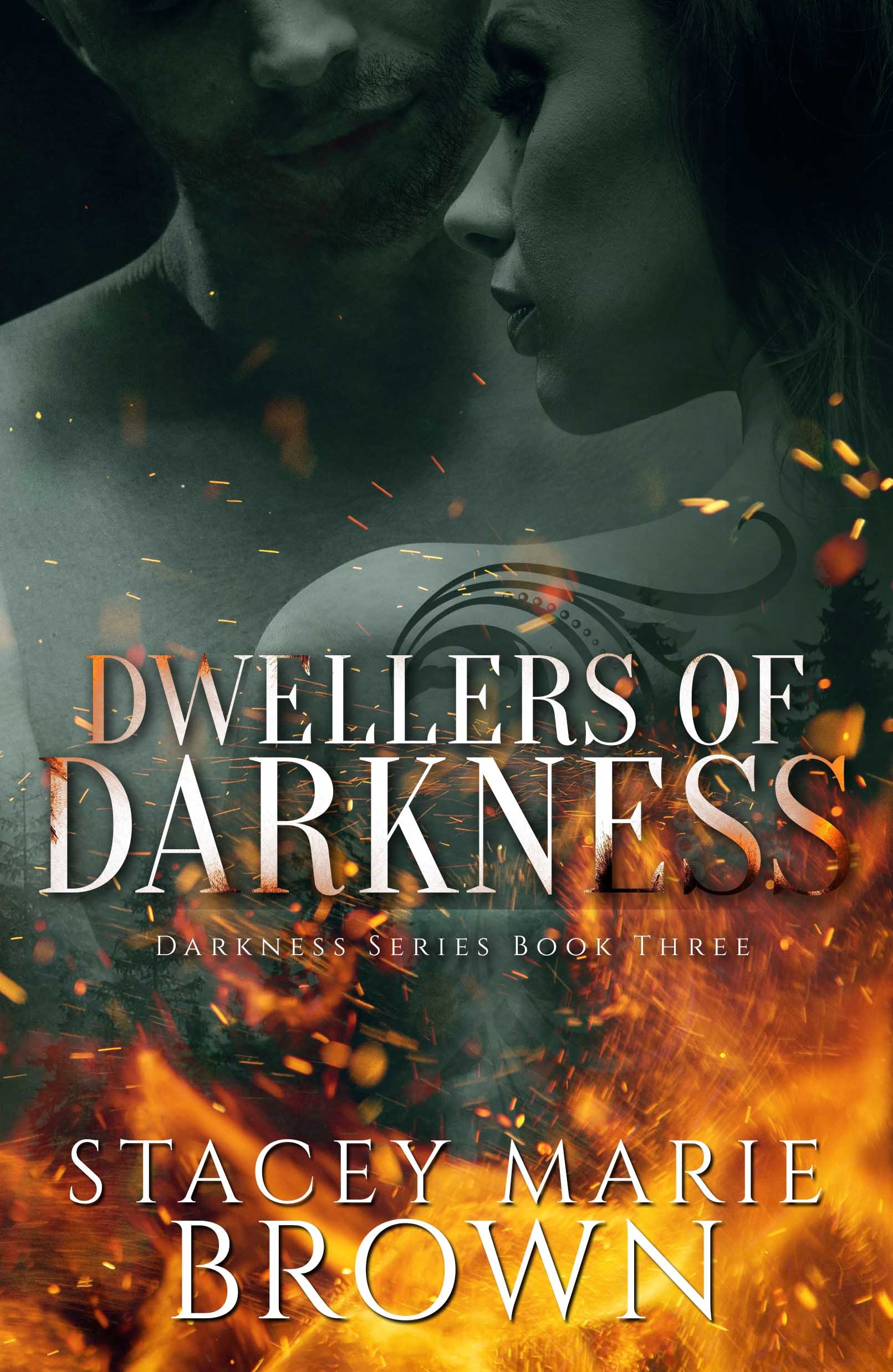 Darkness book cover 3