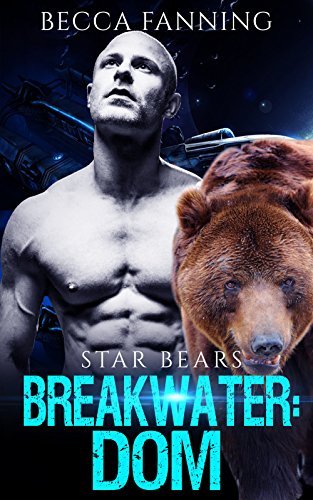 Breakwater book cover