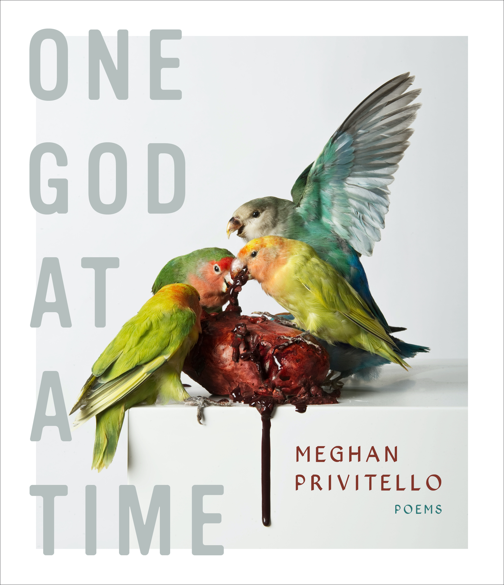 One God at a Time book cover