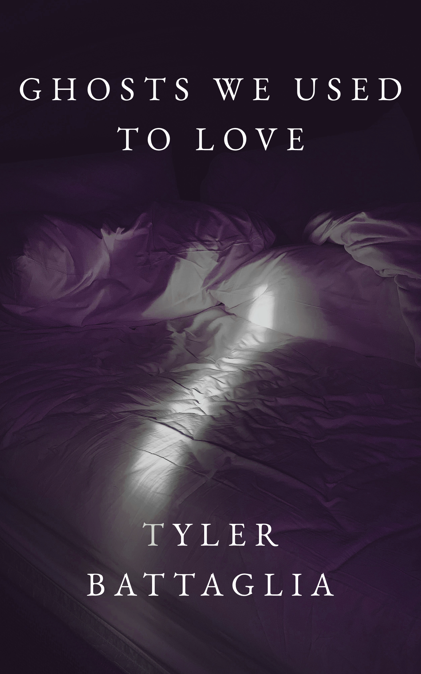 Ghosts We Used to Love book cover