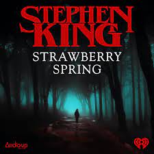 Strawberry Spring book cover