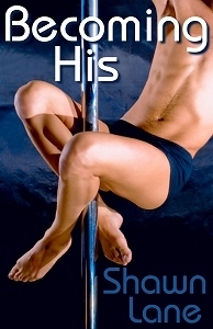 His book cover 1