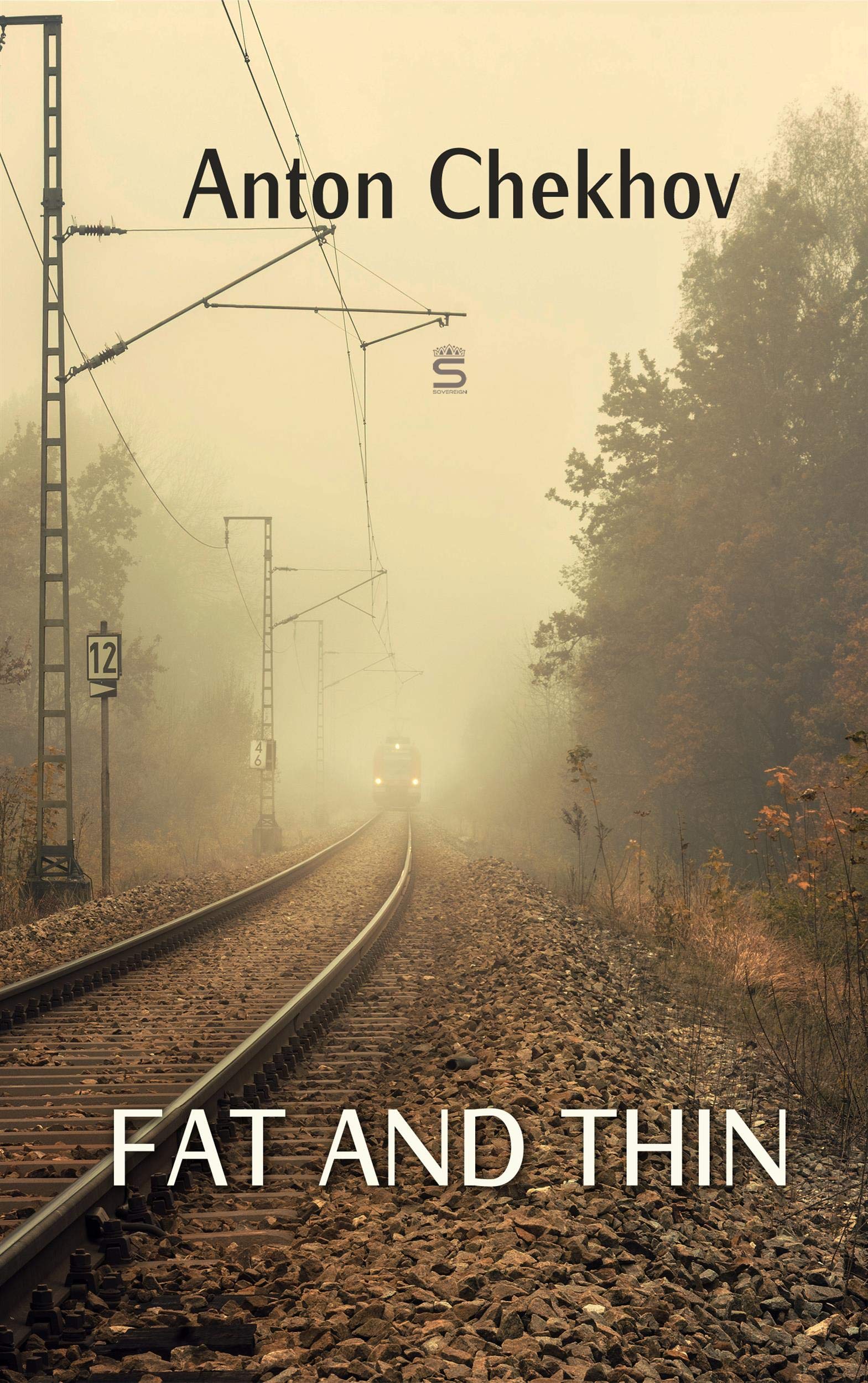 Fat and Thin book cover
