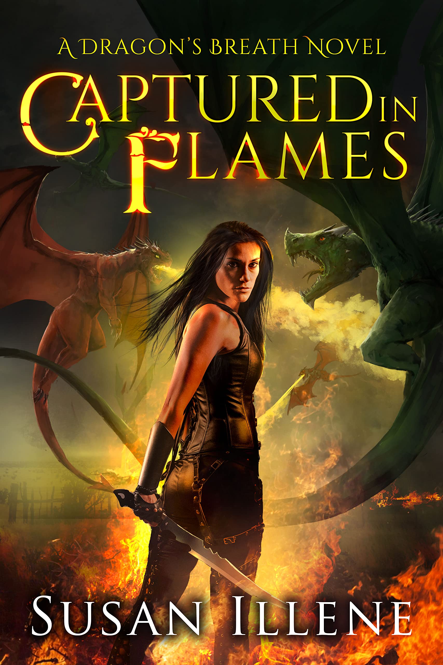 Captured in Flames book cover