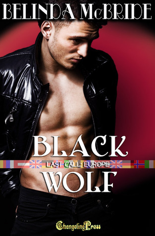 Black Wolf book cover