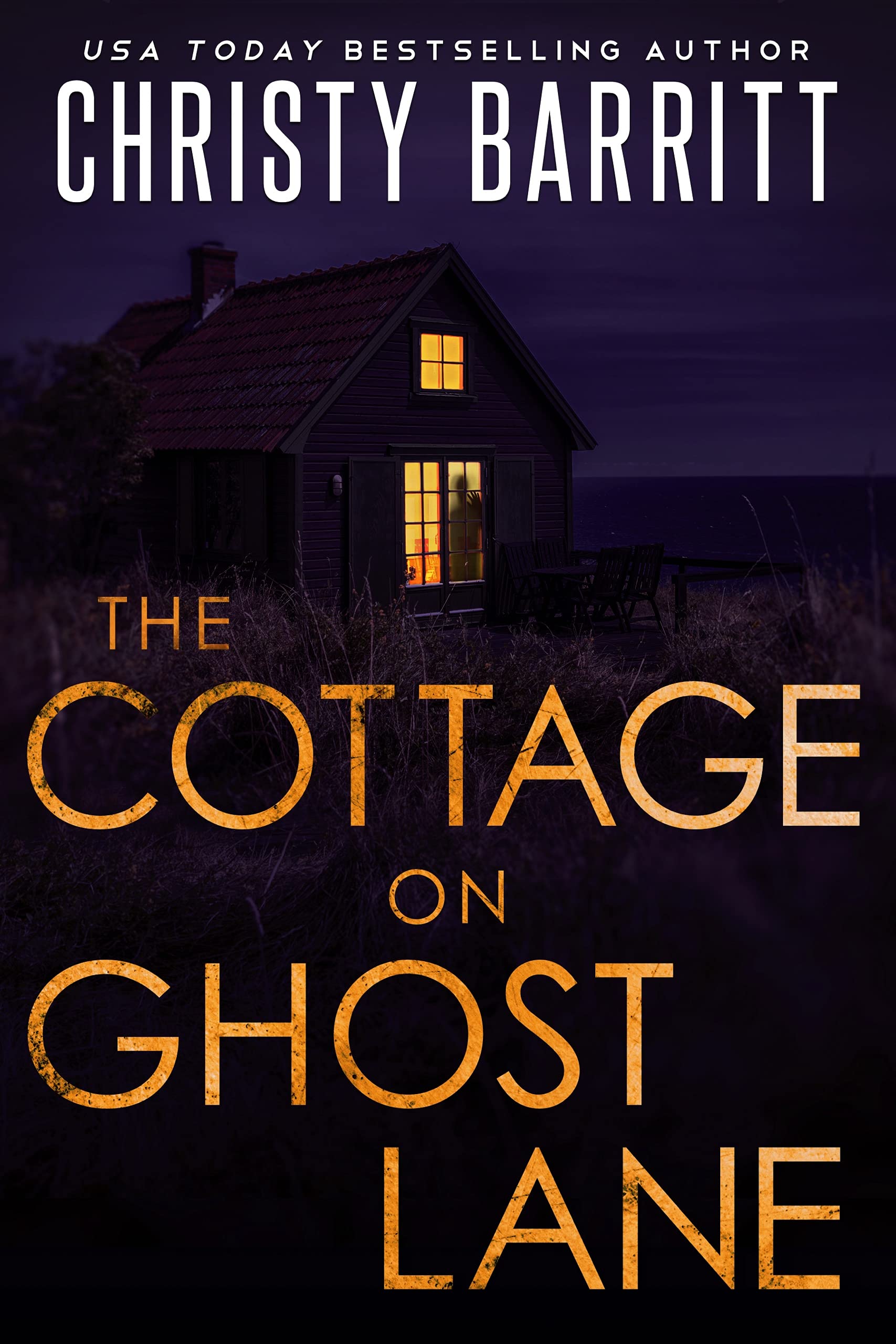 Beach House Mystery book cover 1