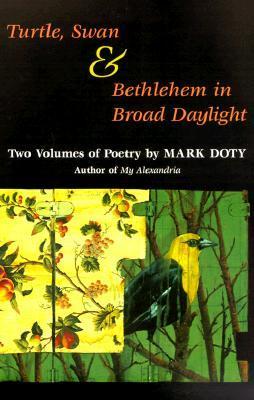 Turtle, Swan and Bethlehem in Broad Daylight book cover