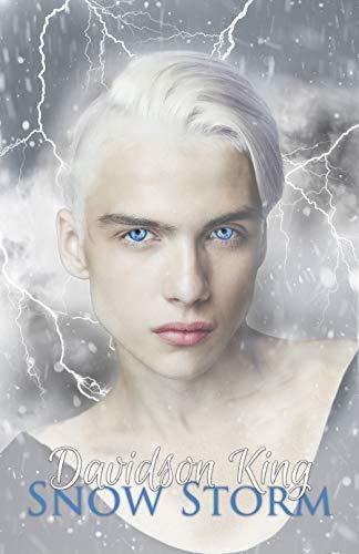 Snow Storm book cover