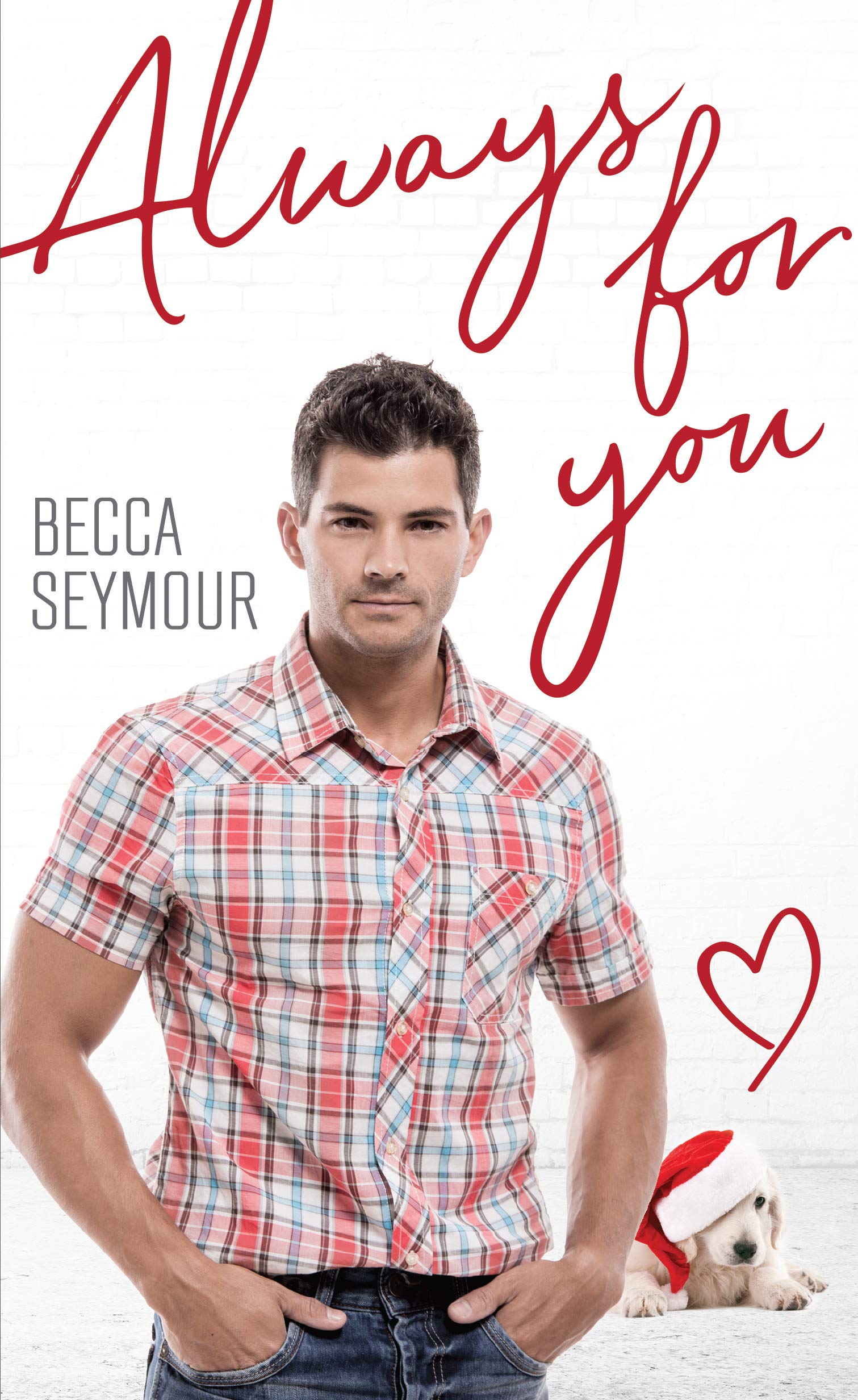 Always for You book cover