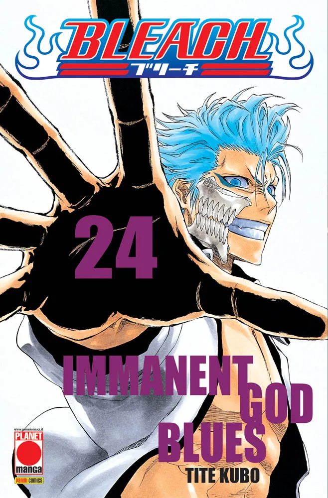 Bleach, Vol. 24 book cover