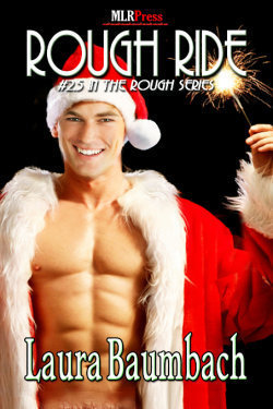 Rough Ride book cover