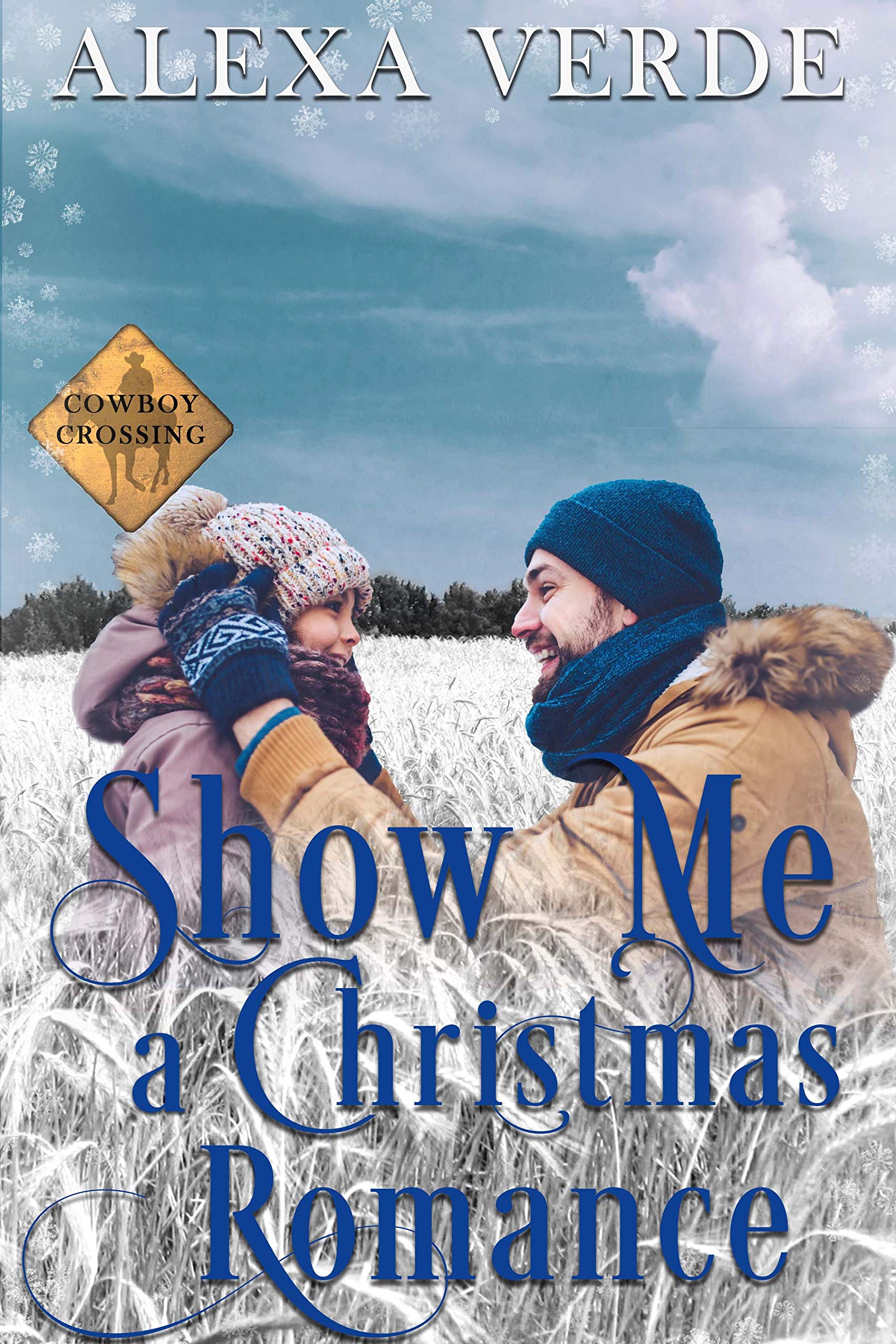 Show Me a Family for Christmas book cover