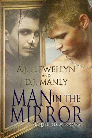 Mirrors book cover 2