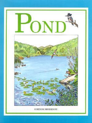 Pond book cover