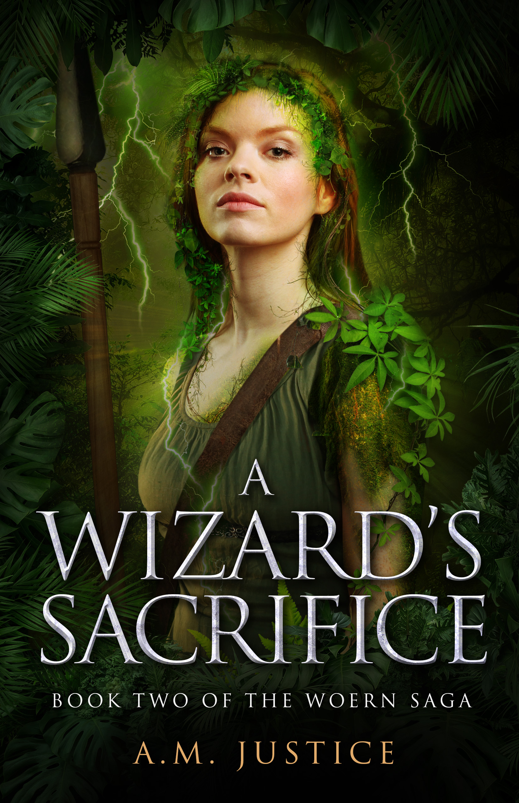 The Woern Saga book cover 2