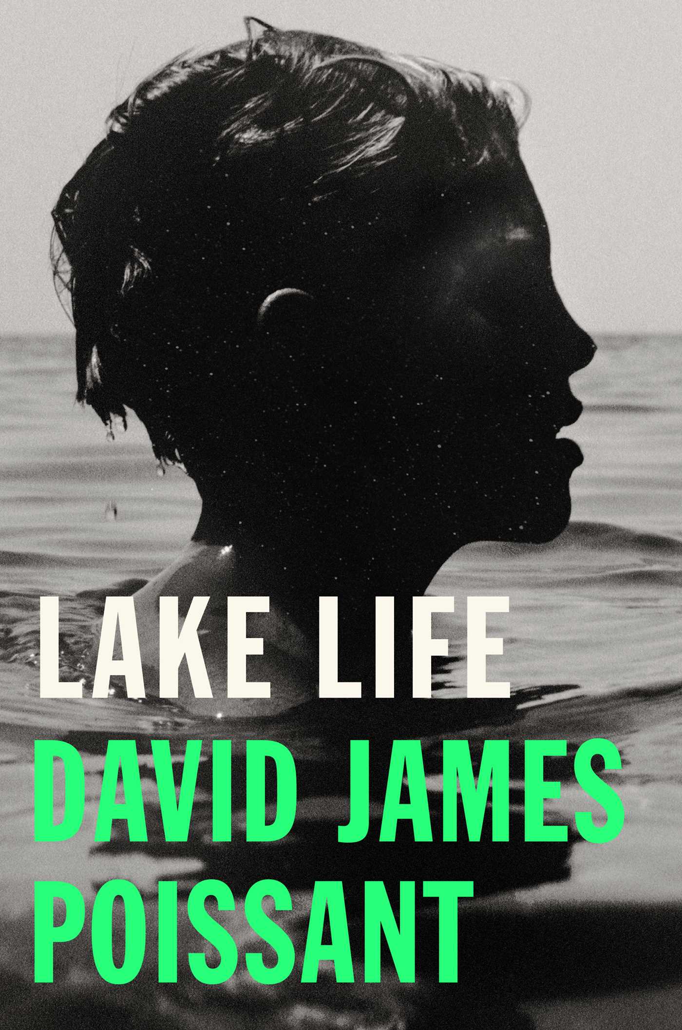 Lake Life book cover