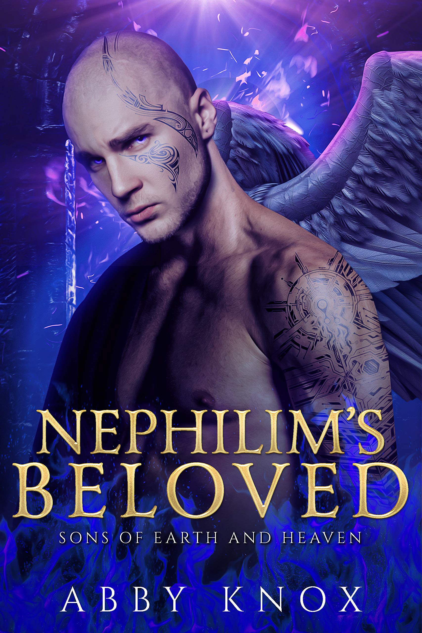 Nephilim's Beloved book cover