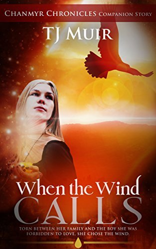 Chanmyr Chronicles Companion Stories book cover 1