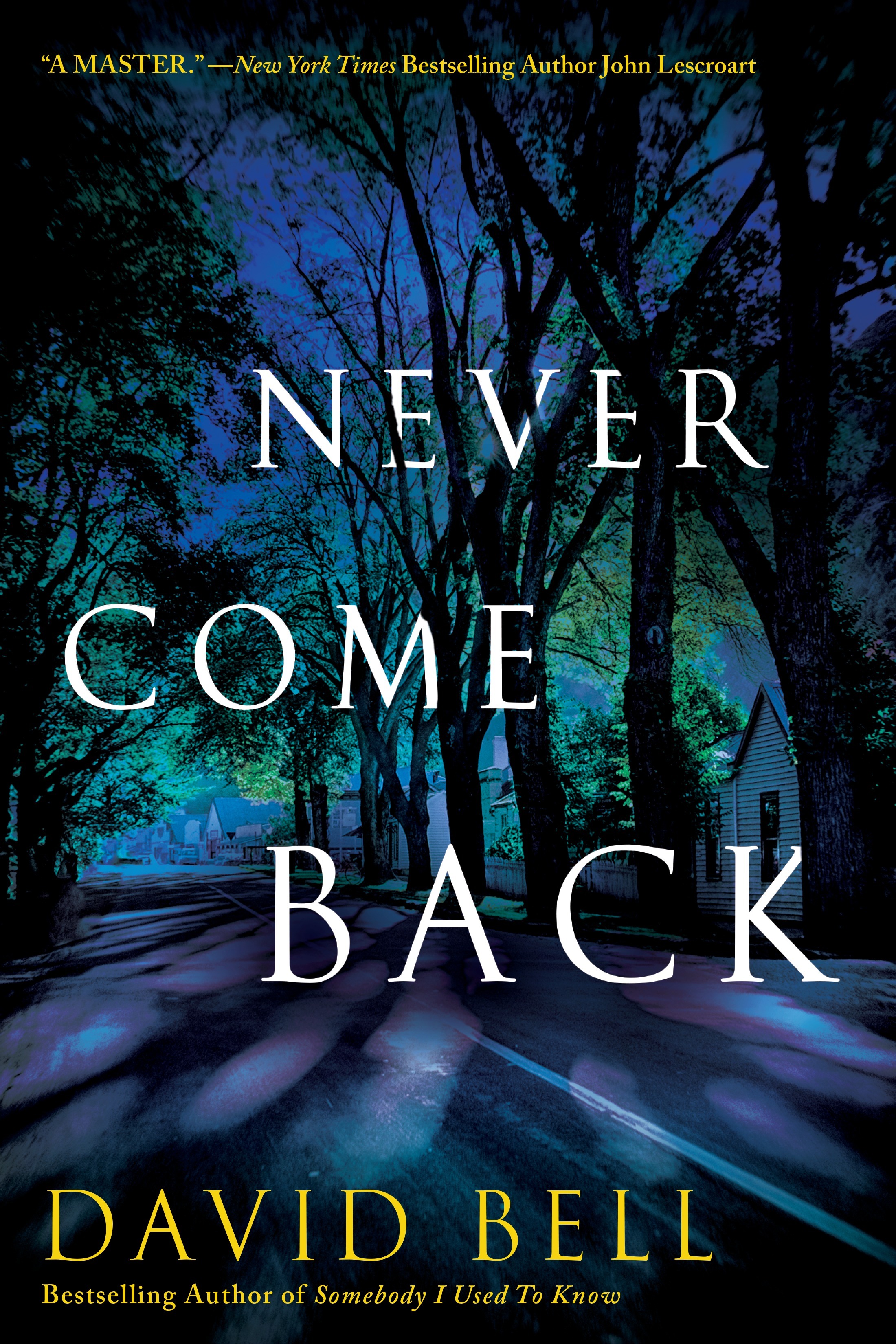 Never Come Back book cover