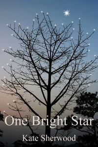 One Bright Star book cover