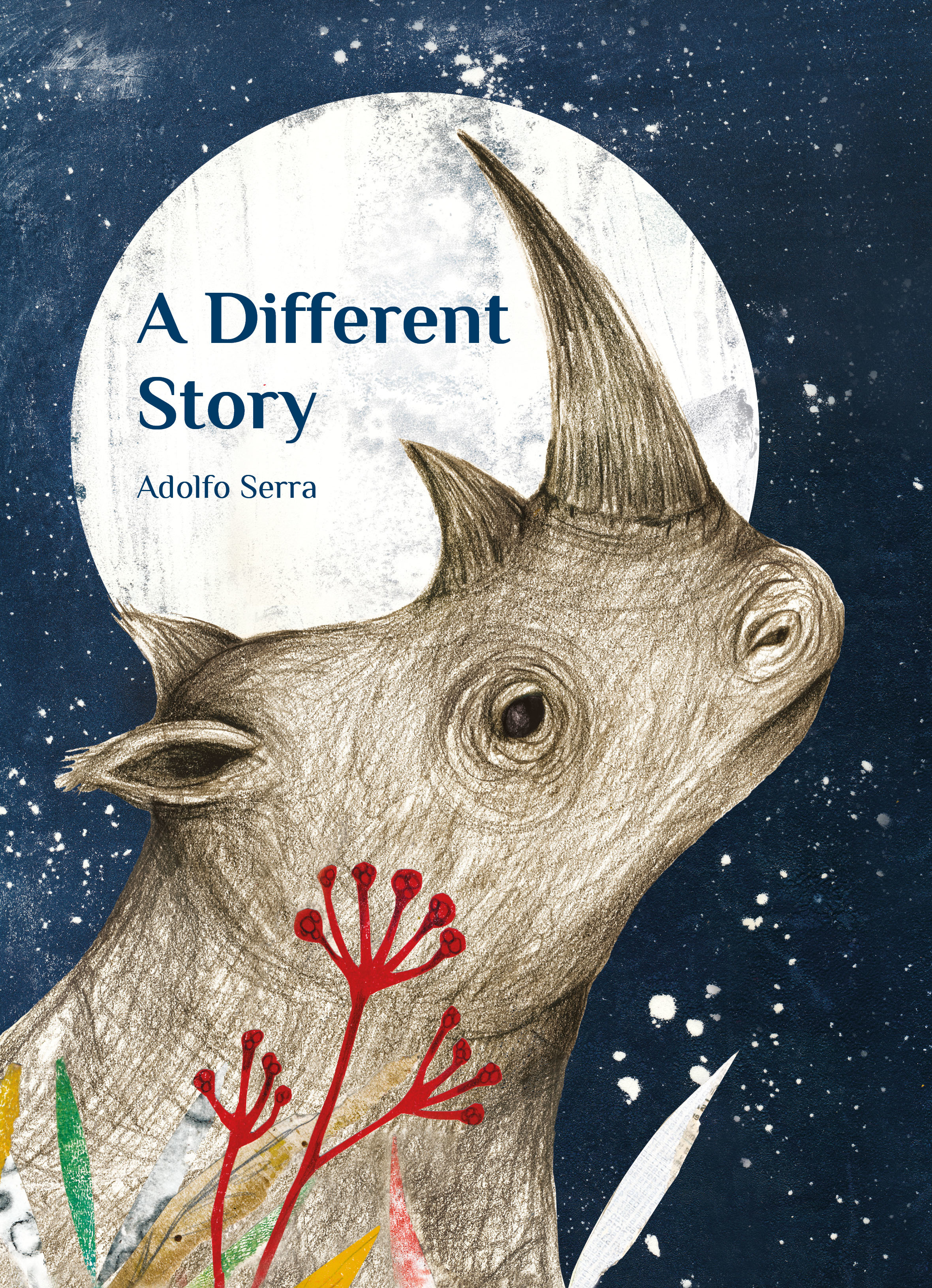 A Different Story book cover