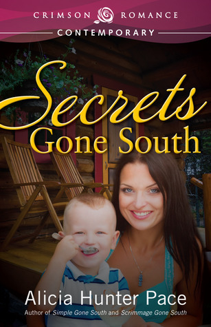Secrets Gone South book cover