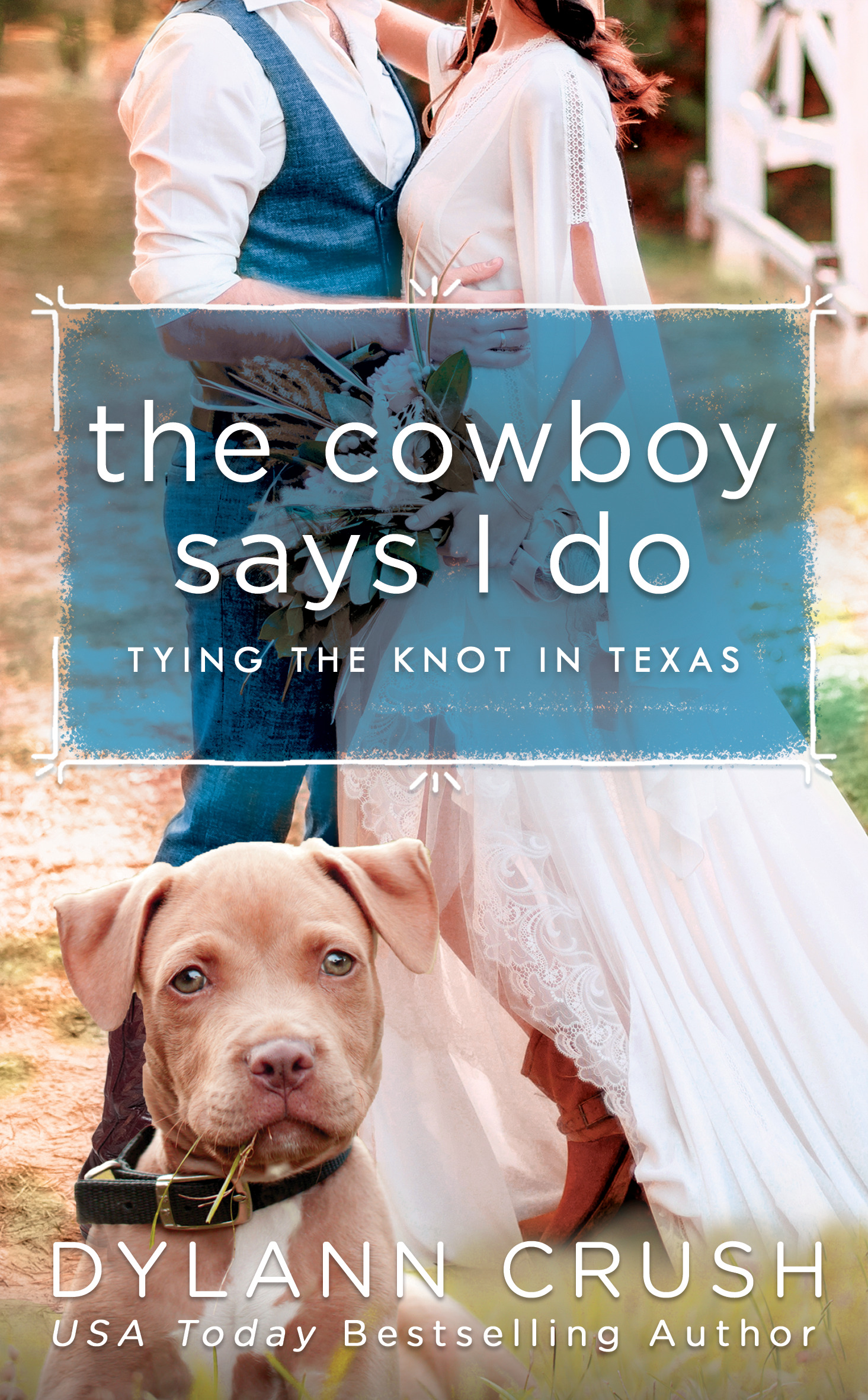 Tying the Knot in Texas book cover 1