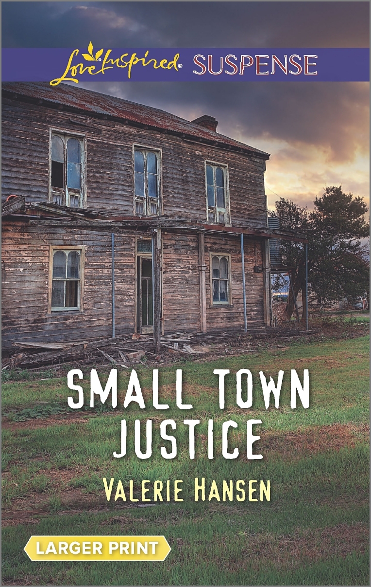 Small Town Justice book cover