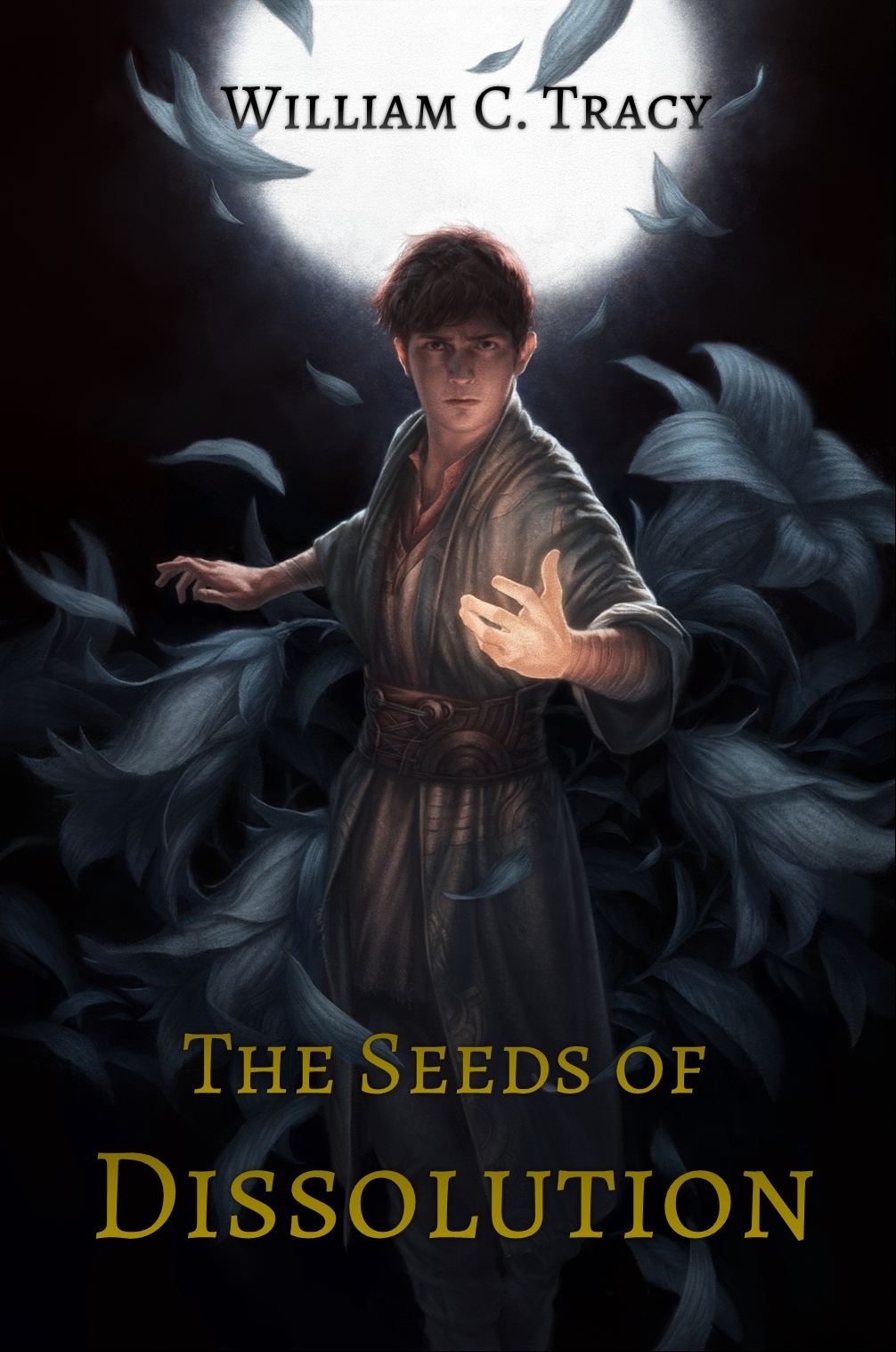 Dissolution Cycle book cover 1