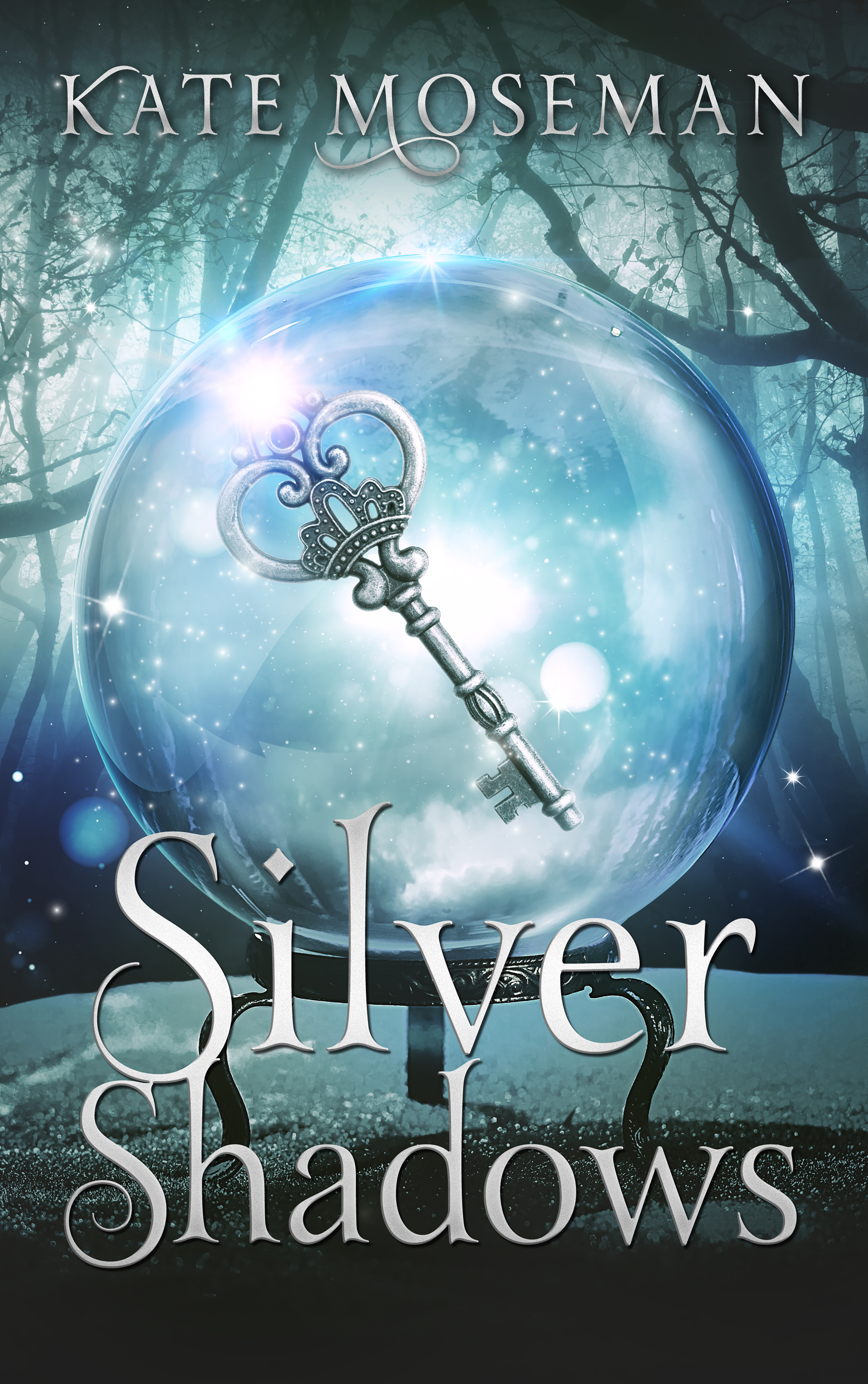 Silver Shadows book cover