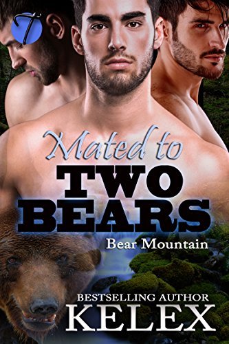 Mated to Two Bears book cover