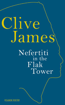 Nefertiti in the Flak Tower book cover