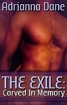 The Exile book cover 2
