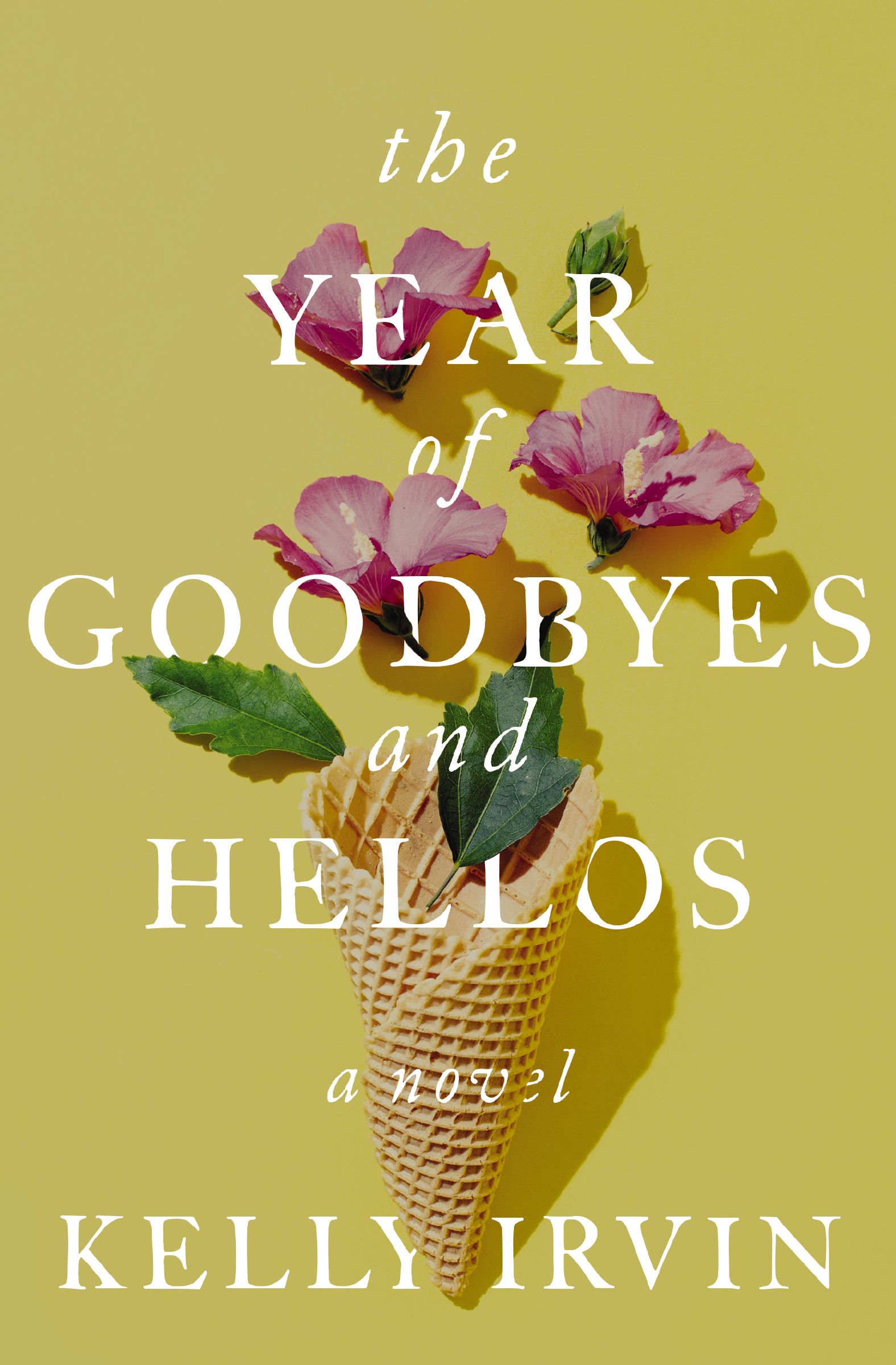 The Year of Goodbyes and Hellos book cover