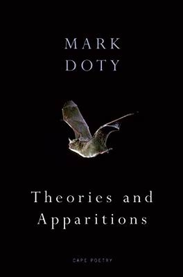 Theories and Apparitions book cover