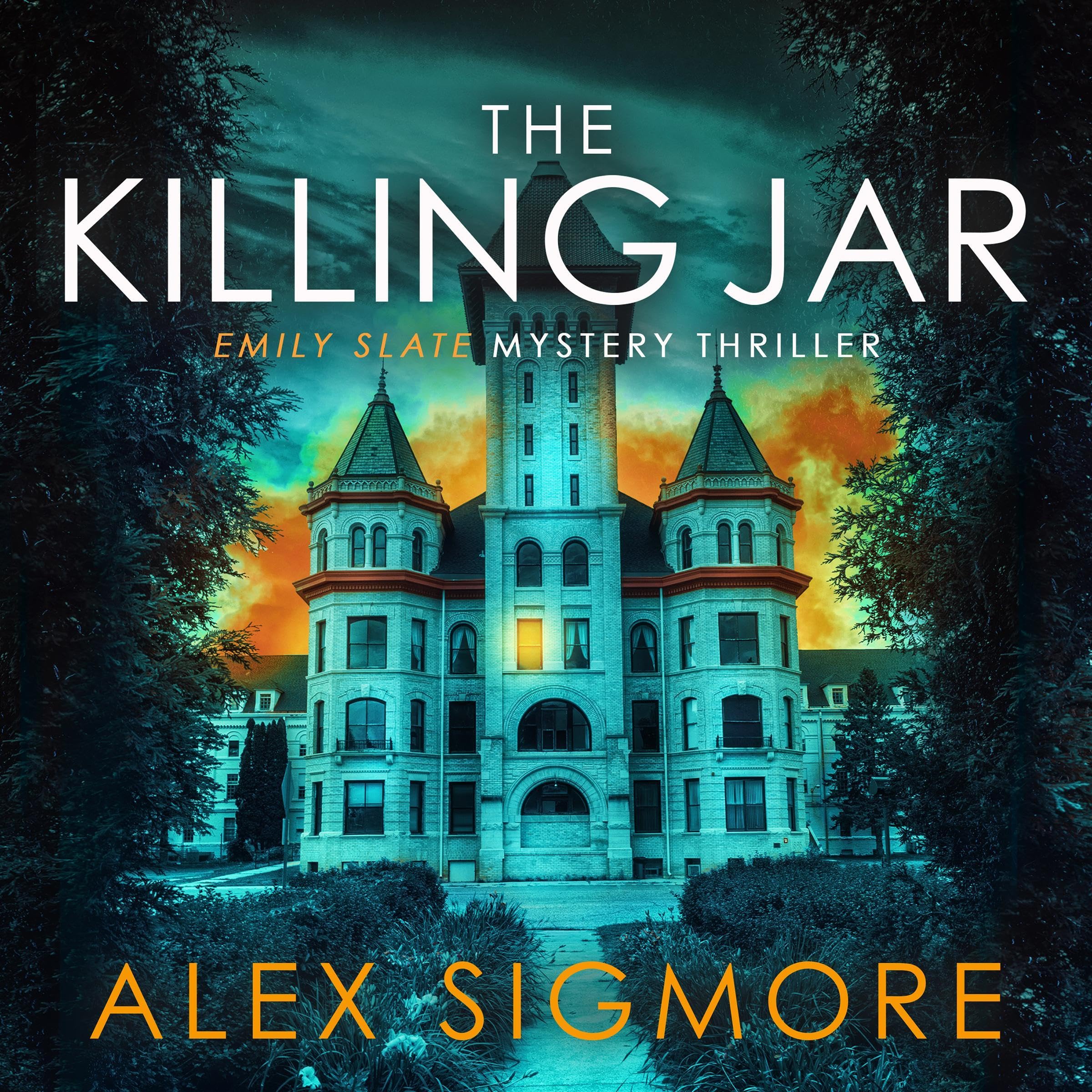 The Killing Jar book cover