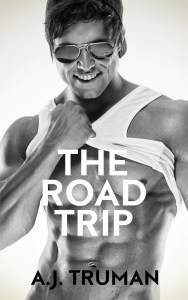 The Road Trip book cover