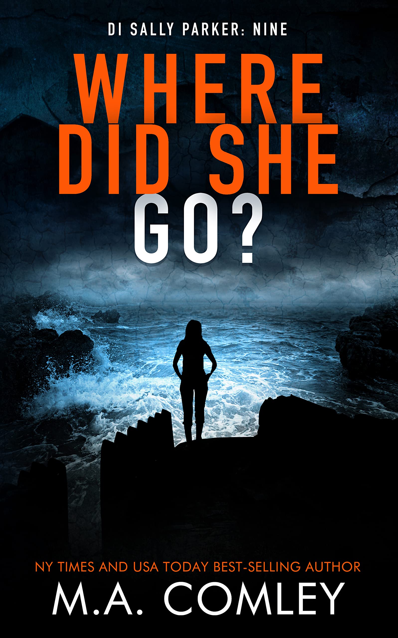 Where Did She Go? book cover