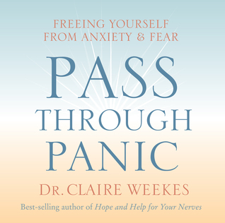 Pass Through Panic book cover
