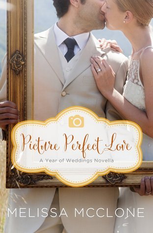 Picture Perfect Love book cover