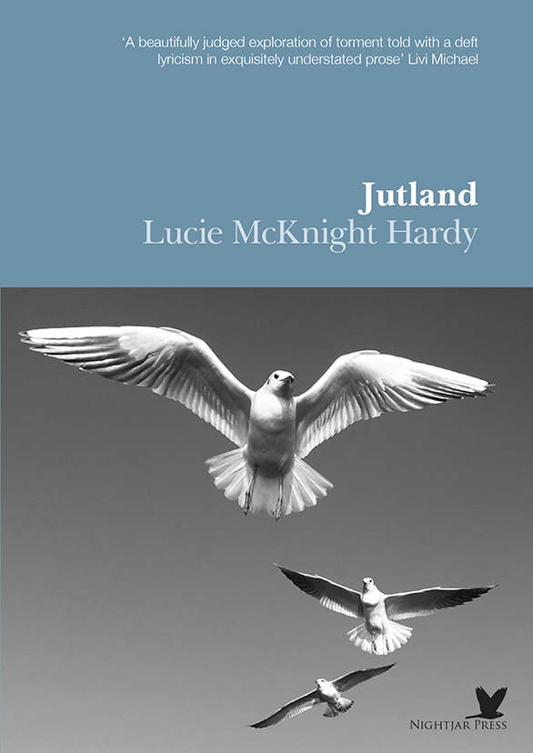 Jutland book cover