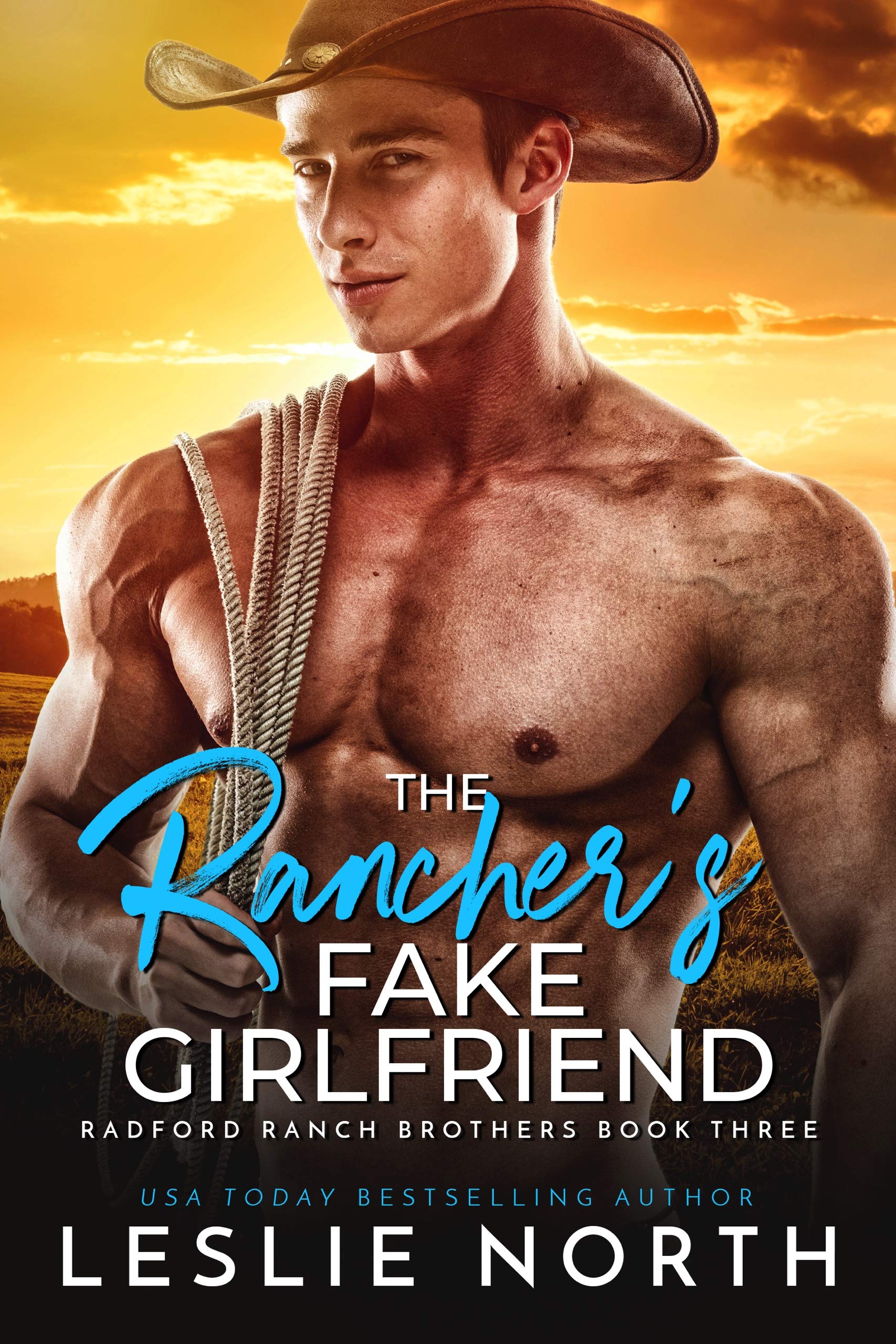 Radford Ranch Brothers book cover 3