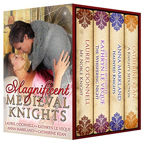 Magnificent Medieval Knights book cover