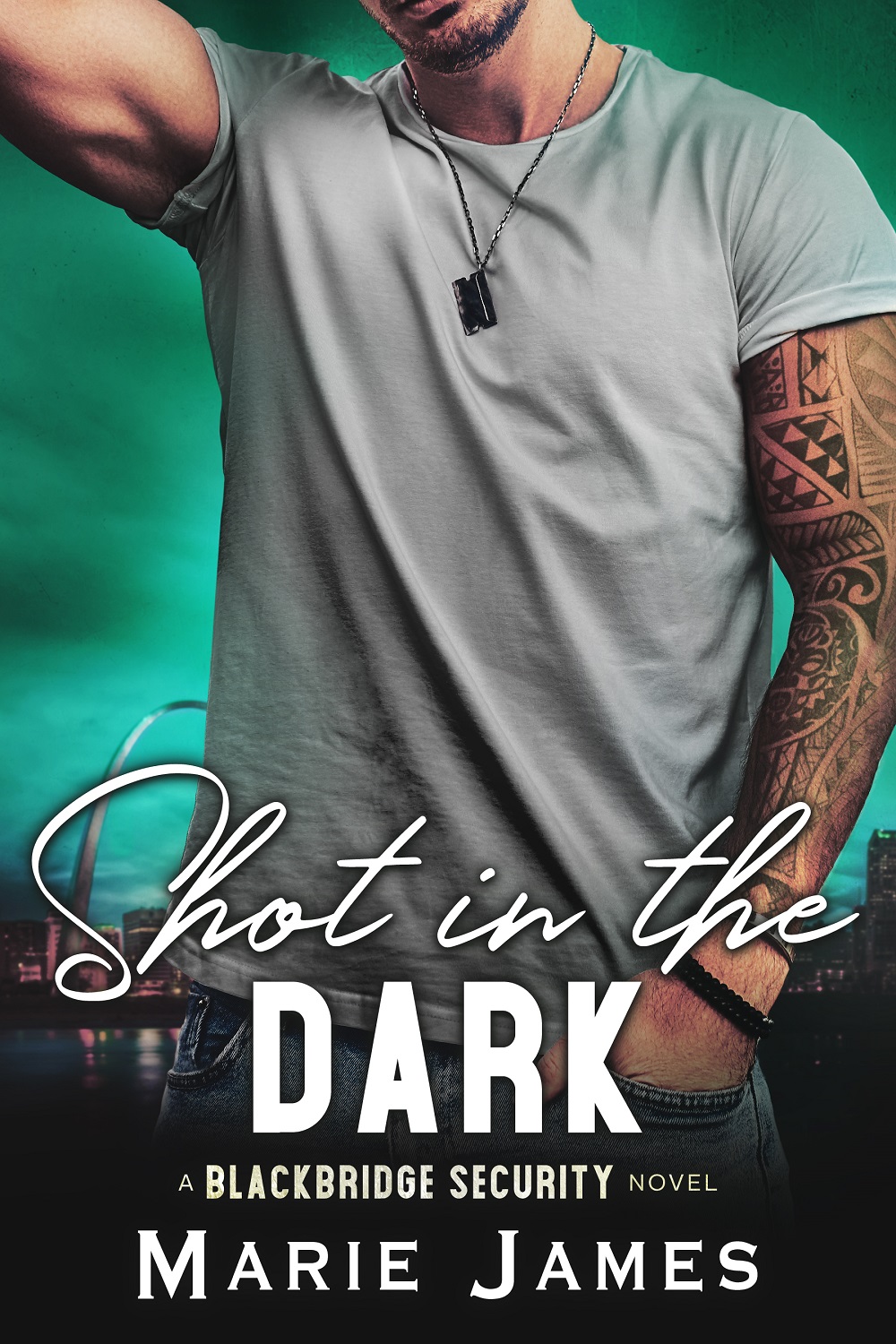 Blackbridge Security book cover 2