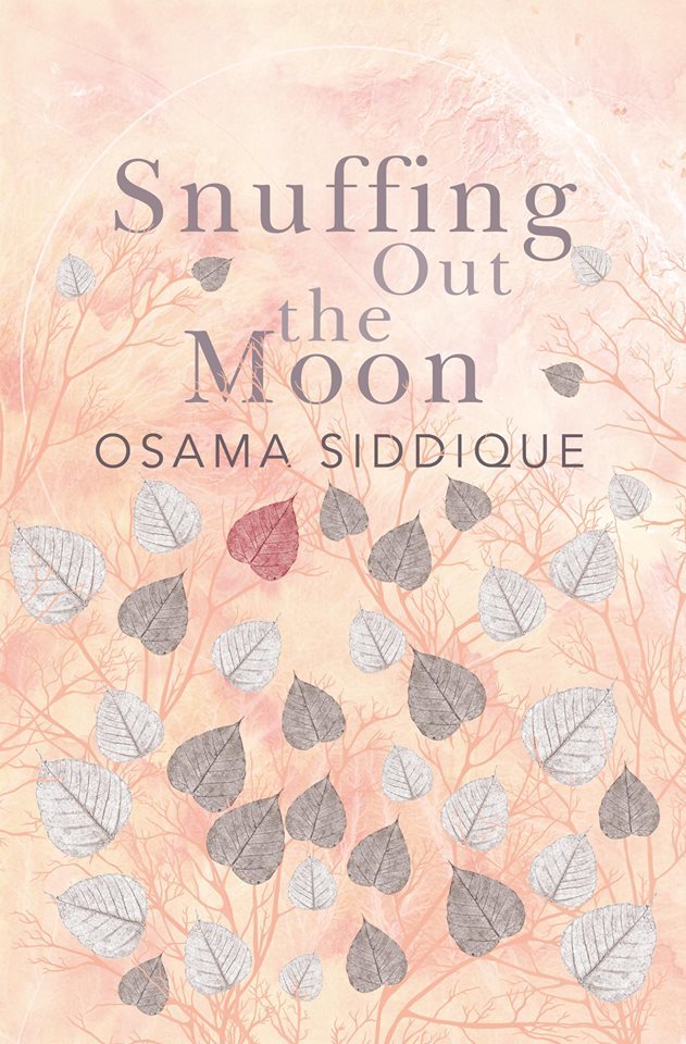 Snuffing out the Moon book cover