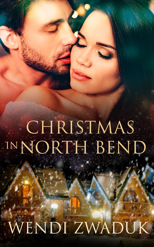 Christmas in North Bend book cover