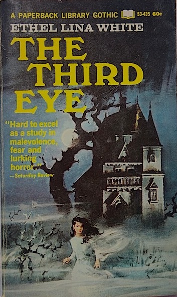 The Third Eye book cover