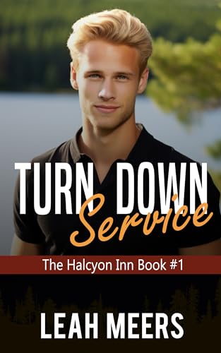Turn Down Service book cover