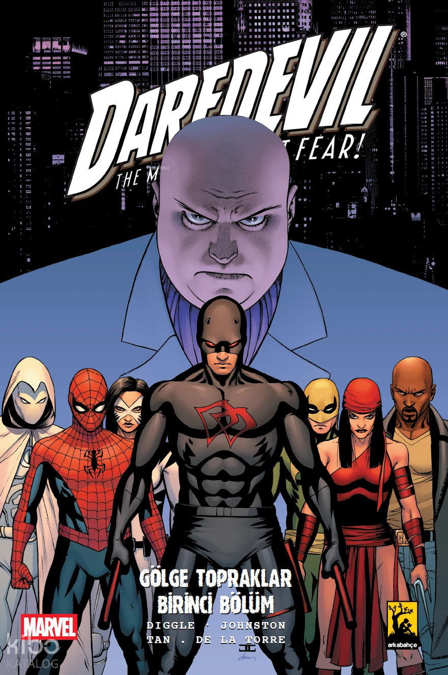 Shadowland book cover 2