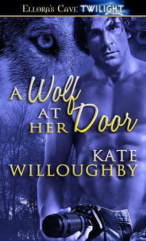 Be-Wished book cover 2